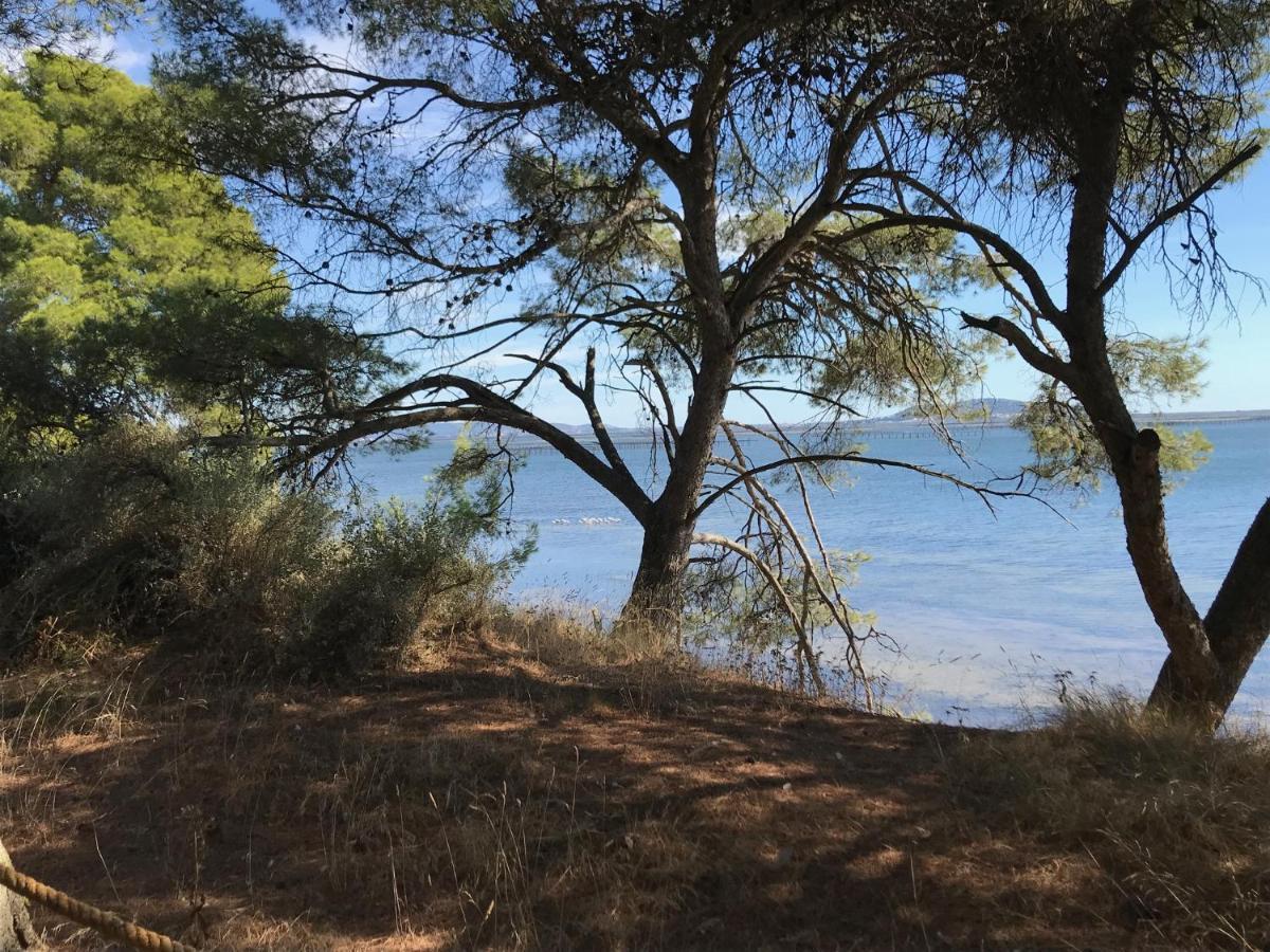 Au Bord De Thau Bed & Breakfast Marseillan  Dış mekan fotoğraf