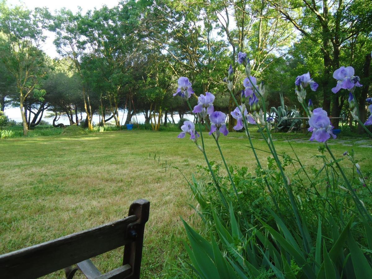 Au Bord De Thau Bed & Breakfast Marseillan  Dış mekan fotoğraf