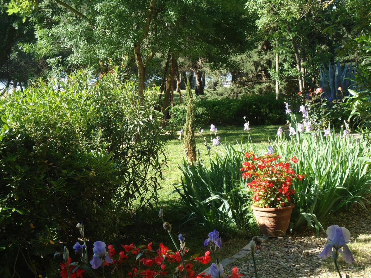 Au Bord De Thau Bed & Breakfast Marseillan  Dış mekan fotoğraf