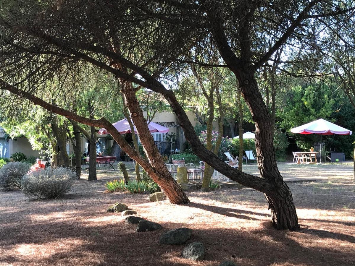 Au Bord De Thau Bed & Breakfast Marseillan  Dış mekan fotoğraf