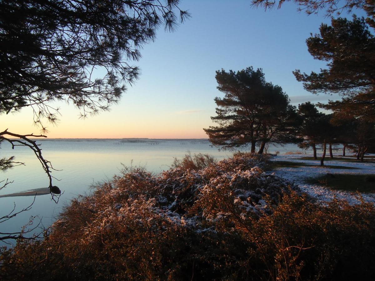 Au Bord De Thau Bed & Breakfast Marseillan  Dış mekan fotoğraf