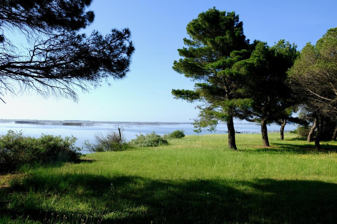 Au Bord De Thau Bed & Breakfast Marseillan  Dış mekan fotoğraf