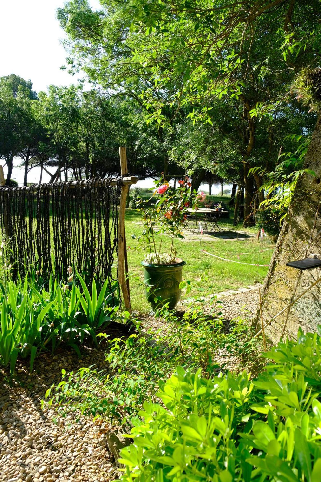 Au Bord De Thau Bed & Breakfast Marseillan  Dış mekan fotoğraf