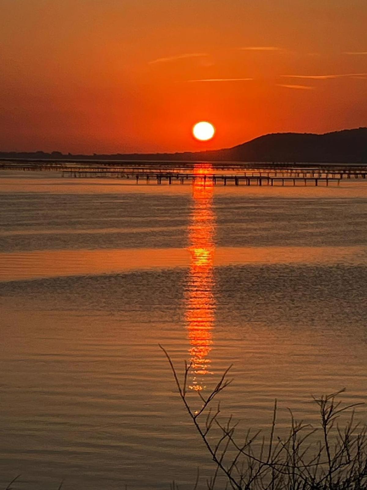 Au Bord De Thau Bed & Breakfast Marseillan  Dış mekan fotoğraf